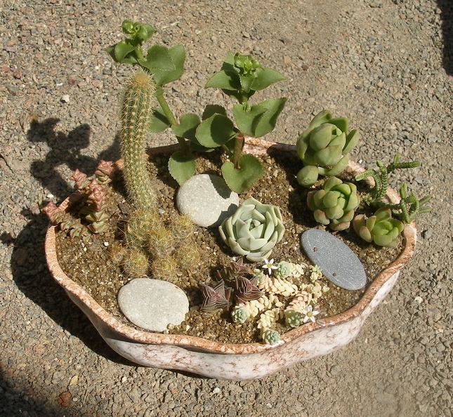 P9040241.JPG