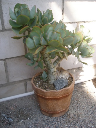 Керамическая посуда Виктора и Ольги Матвеевых