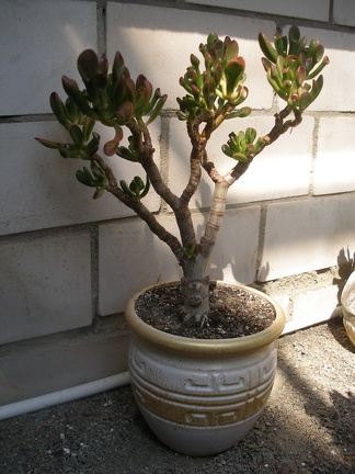 Керамическая посуда Виктора и Ольги Матвеевых