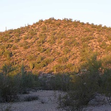 Baja (California)