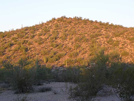 Baja (California)