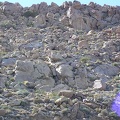 Baja (California)