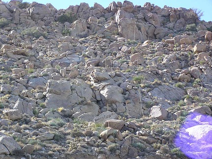 Baja (California)