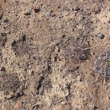 Baja (California)