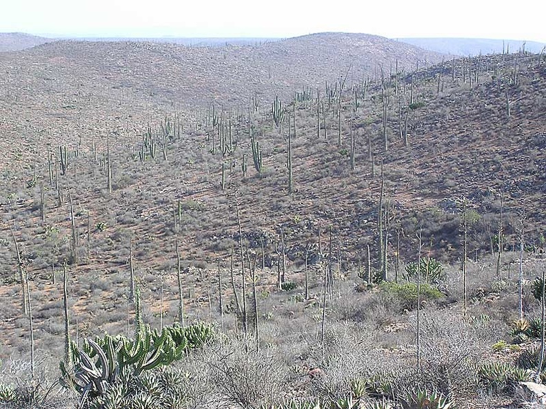 Baja--032.jpg