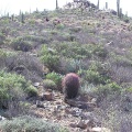 Baja (California)
