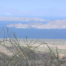 Baja (California)