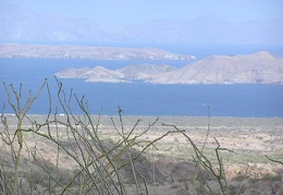 Baja (California)