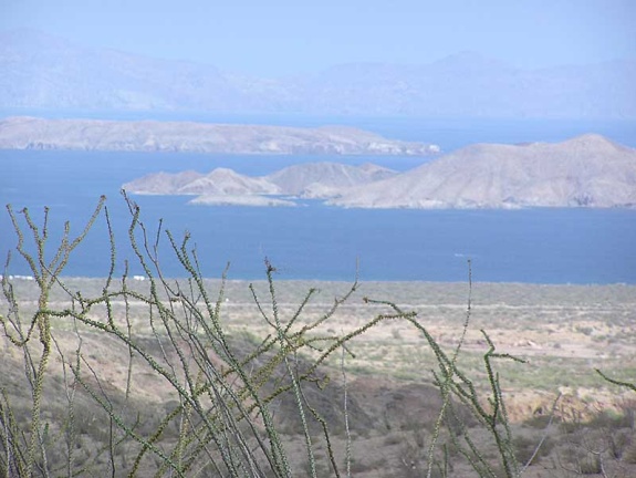 Baja (California)