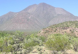 Baja (California)