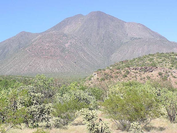 Baja (California)