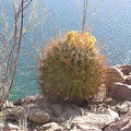 Baja (California)