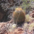 Baja (California)