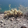 Baja (California)