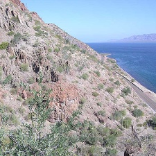 Baja (California)