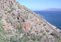 Baja (California)