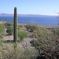 Baja (California)