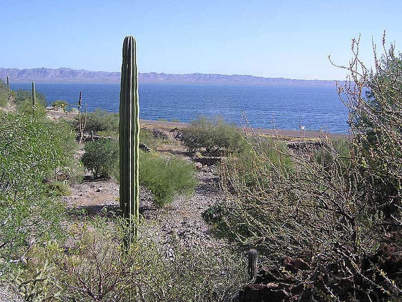 Baja (California)