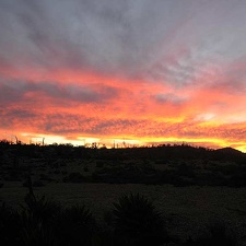 Baja (California)