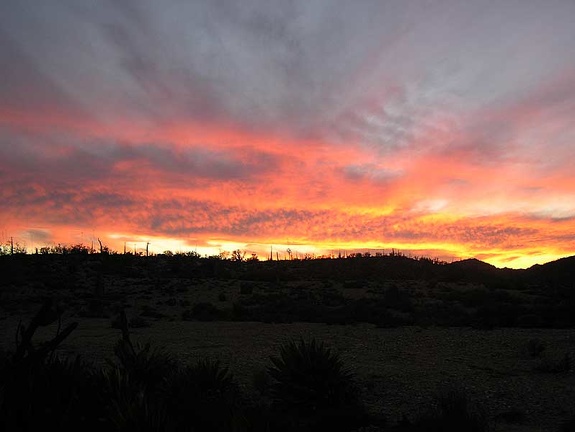Baja (California)