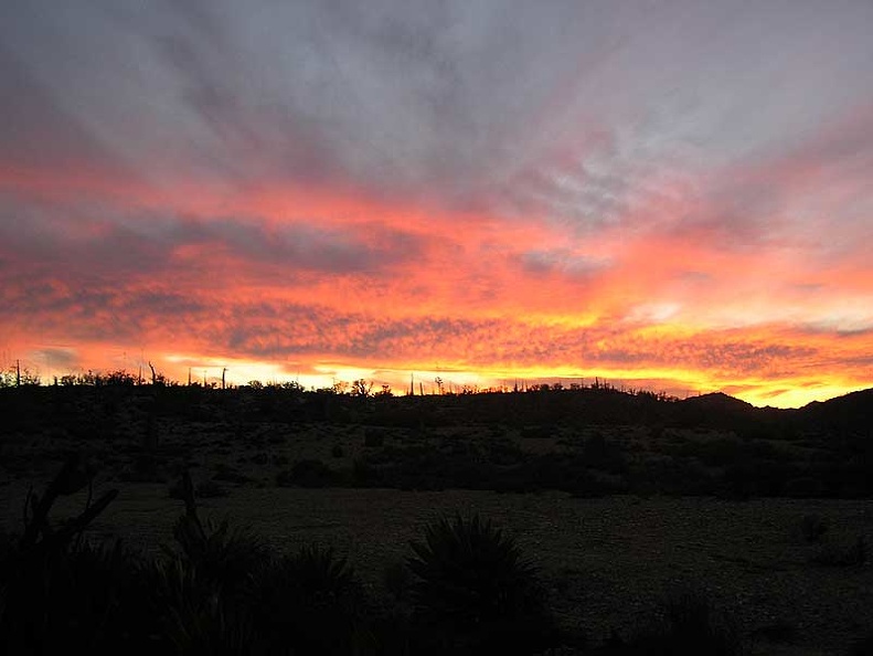 Baja (California)