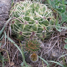P1015798