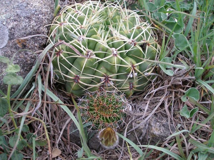 P1015798