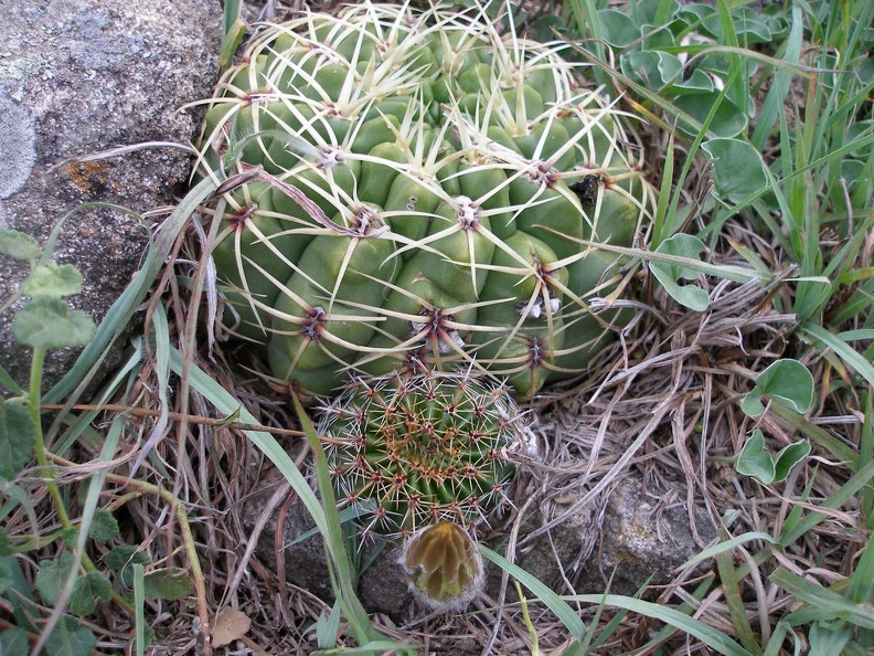 P1015798