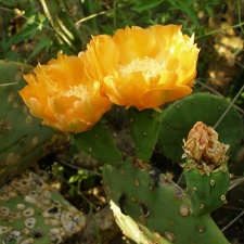 P1015835