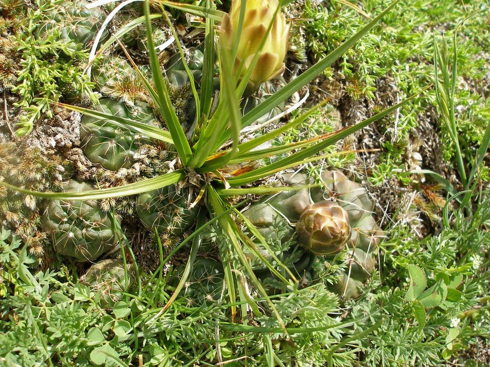 P1015836