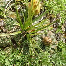 P1015836