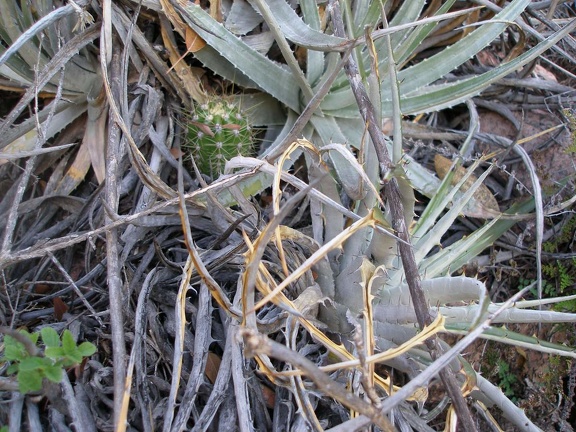 P1015850