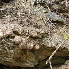 P1015872