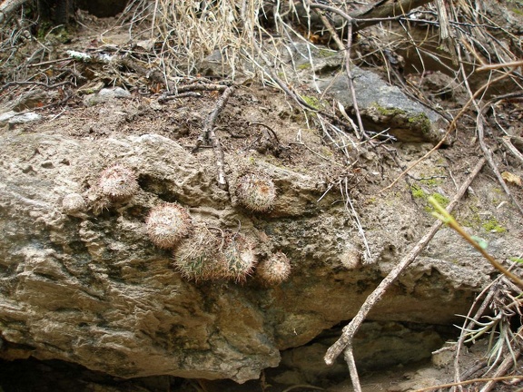 P1015872