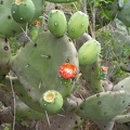 P1015873
