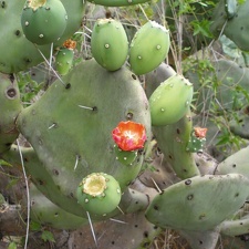 P1015873