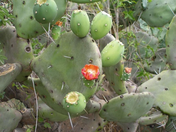 P1015873