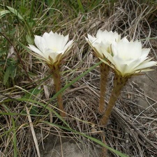 P1015875