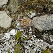 P1015876