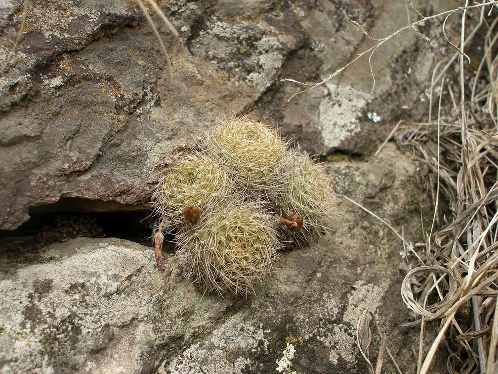 P1015877