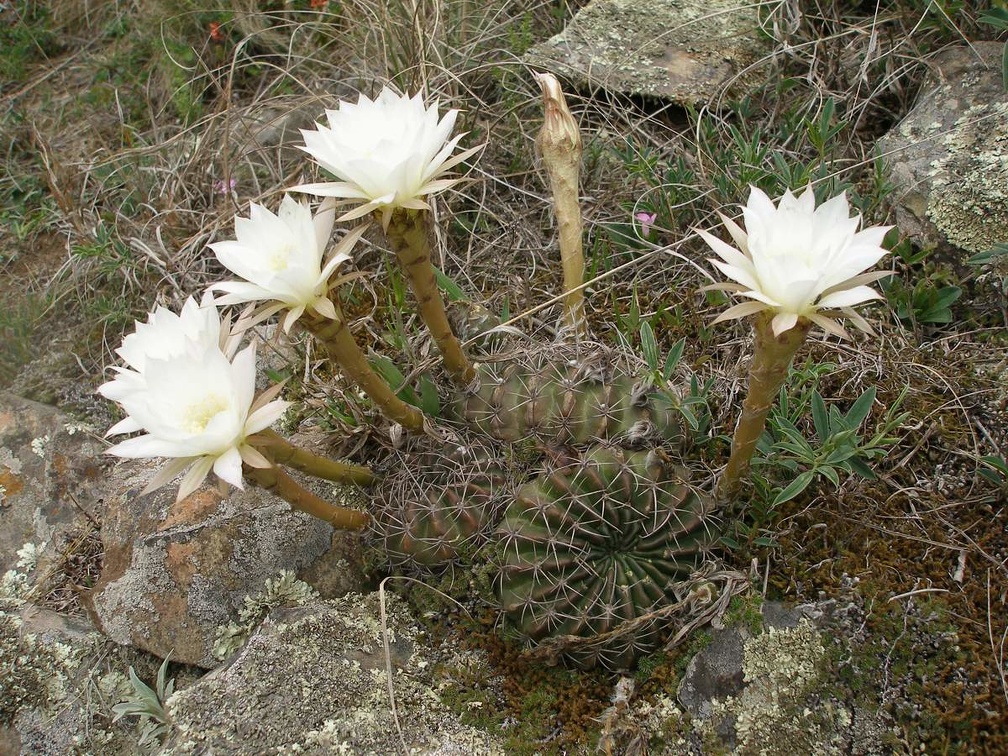 P1015881