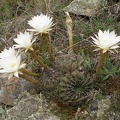 P1015881