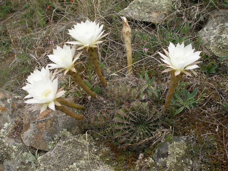 P1015881