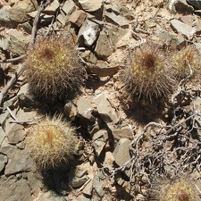 P1015901