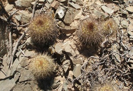 P1015901