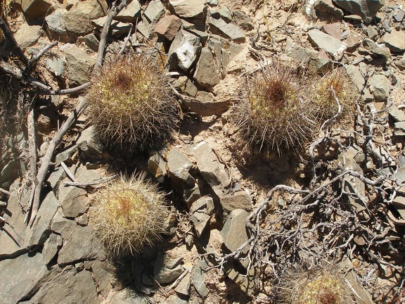 P1015901