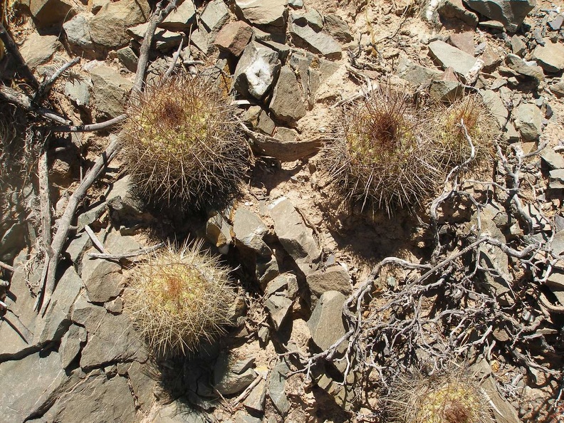 P1015901