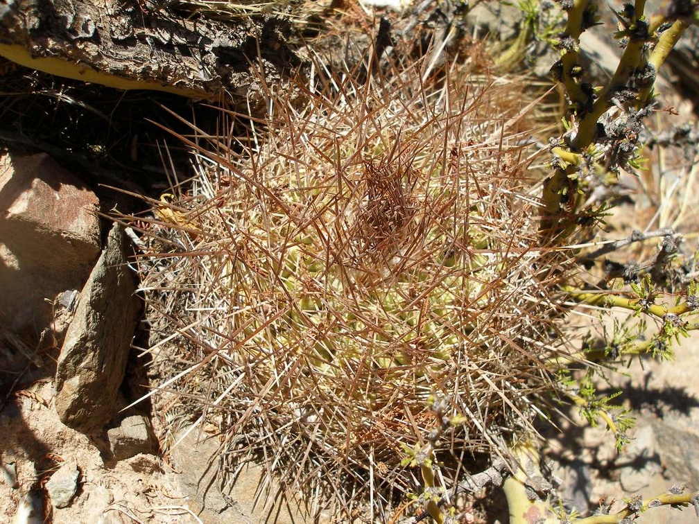 P1015902
