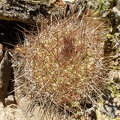 P1015902