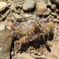 P1015907